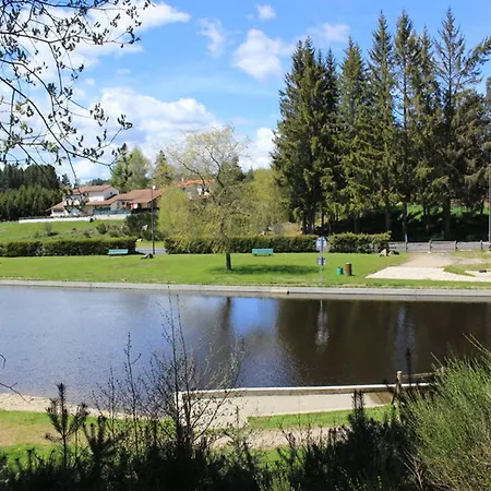 Cosy 2 Avec Cheminee Et Jardin, Animaux Acceptes - Fr-1-496-162 Holiday home Usson-en-Forez