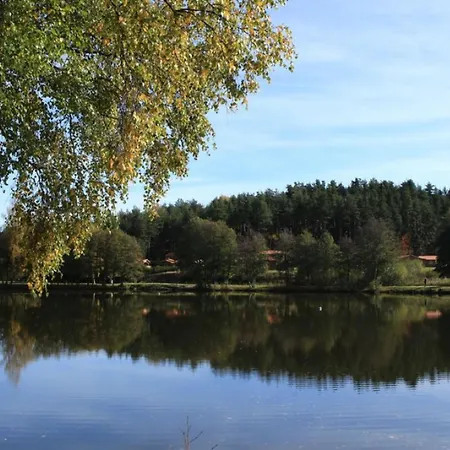 Holiday home Cosy 2 Avec Cheminee Et Jardin, Animaux Acceptes - Fr-1-496-162 Usson-en-Forez